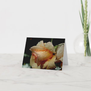 Nasse Orange-Rose Karte