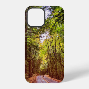 Nasse Straße durch grüne Bäume im Humboldt-Herbst iPhone 12 Pro Hülle
