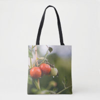 nasse Tomaten im Rind