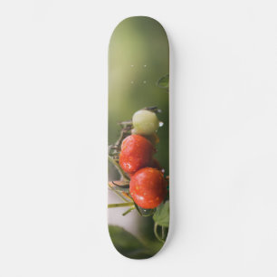 nasse Tomaten im Rind Skateboard