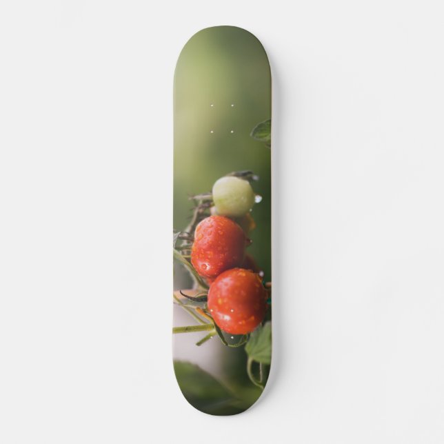 nasse Tomaten im Rind Skateboard (Vorderseite)