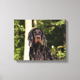 Nasser Gordon Setter eingewickelter Canvas Leinwanddruck