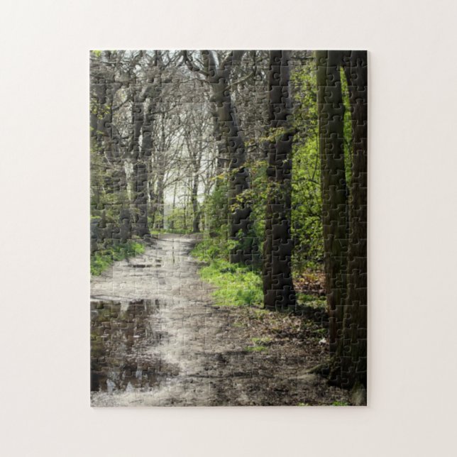 Nasser Regen-Pfützen-Weg im Moos bedeckte Puzzle (Vertikal)