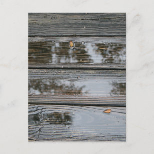 Nasses Holz mit Pudddelhintergrundbild Postkarte