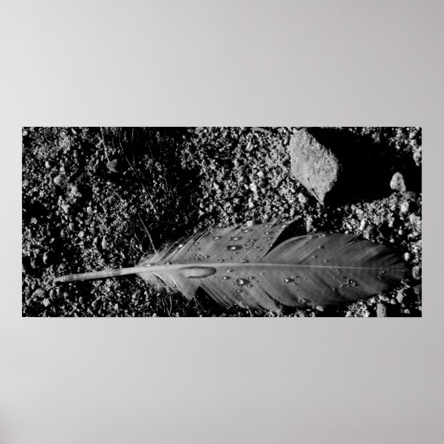 Nassfeder Poster (Vorne)