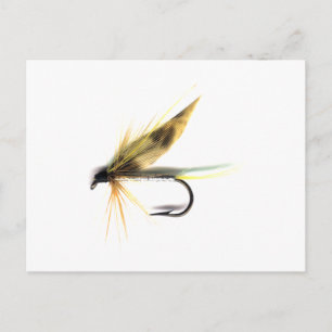 Nassfliegen (Cumming's) Postkarte
