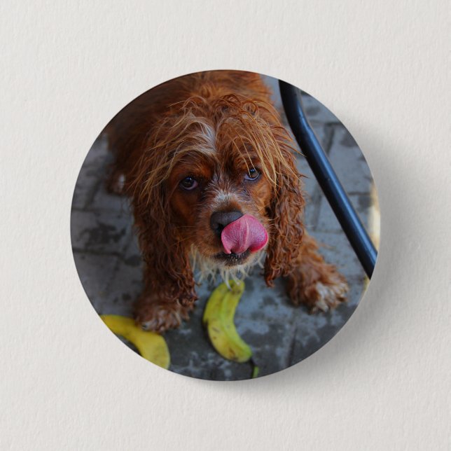 Nasshund mit Banane Button (Vorderseite)