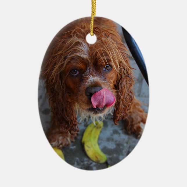 Nasshund mit Banane Keramikornament (Vorne)
