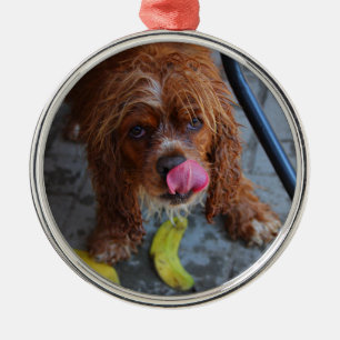 Nasshund mit Banane Ornament Aus Metall