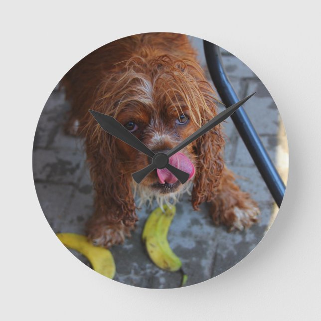 Nasshund mit Banane Runde Wanduhr (Vorderseite)