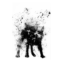 Nasshund