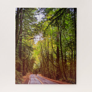 Nassstraße durch grüne Bäume in Humboldt Herbst Puzzle