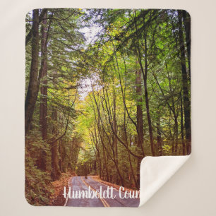 Nassstraße durch grüne Bäume in Humboldt Herbst Sherpadecke