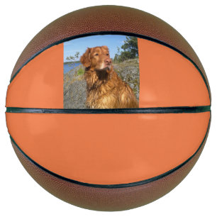 Nasszelle Basketball