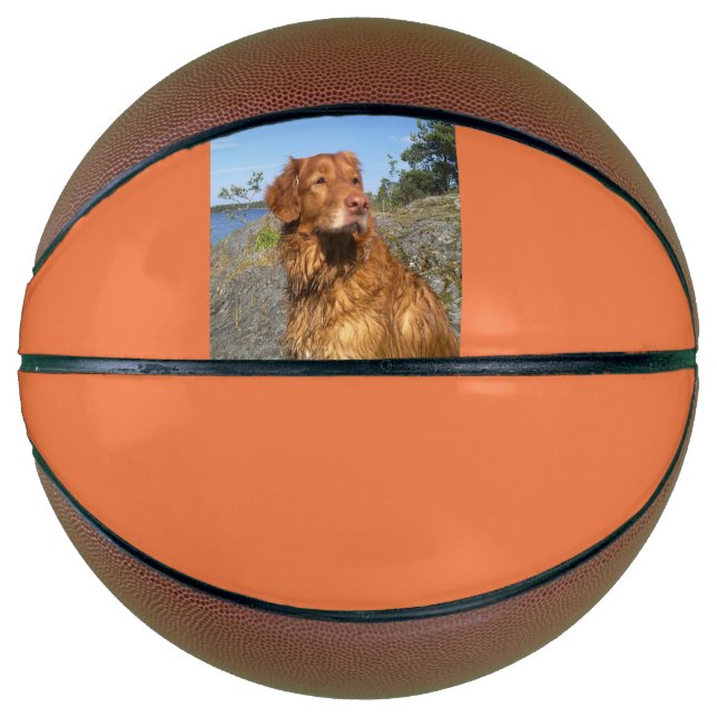 Nasszelle Basketball (Vorderseite)