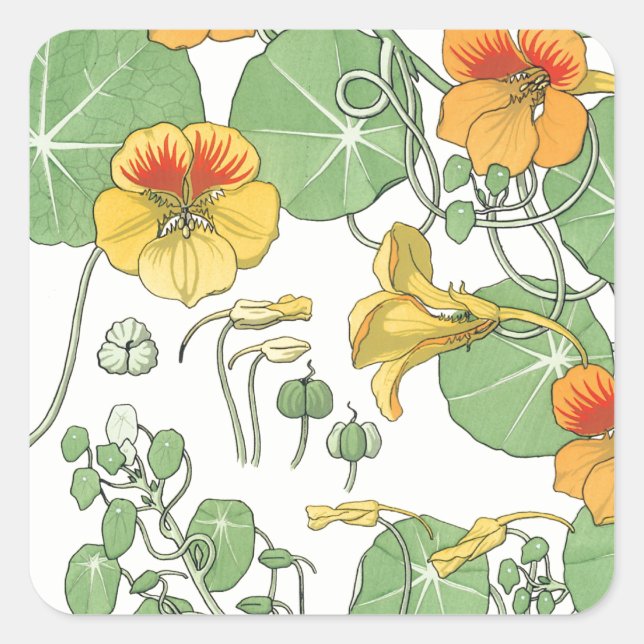 Nasturtien Quadratischer Aufkleber (Vorderseite)