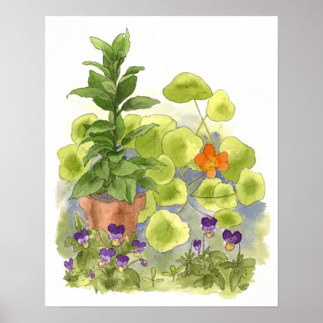 Nasturtium Blume Bucht Bäume Kräuter Wasserfarbe K Poster (Vorne)