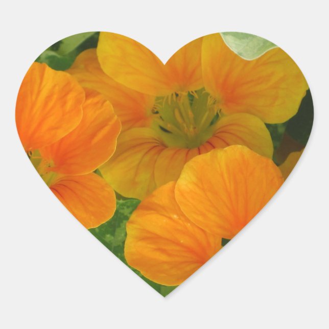 Nasturtium Heart Sticker (Vorderseite)