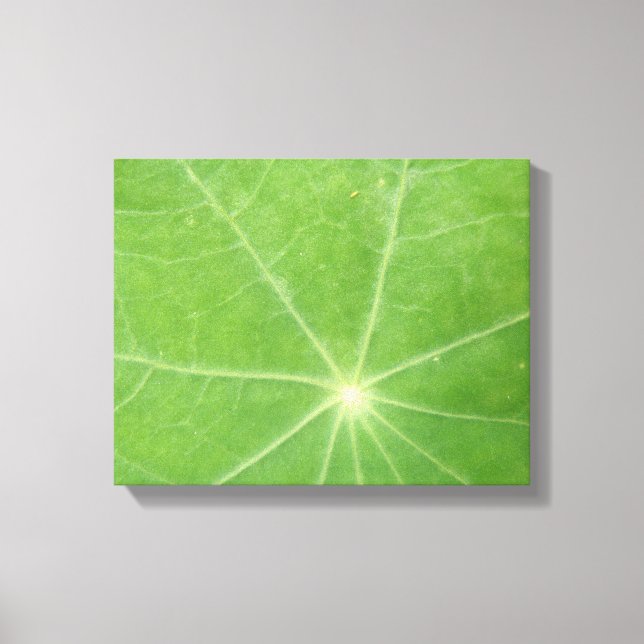 Nasturtium Leaf Canvas Print Leinwanddruck (Vorderseite)