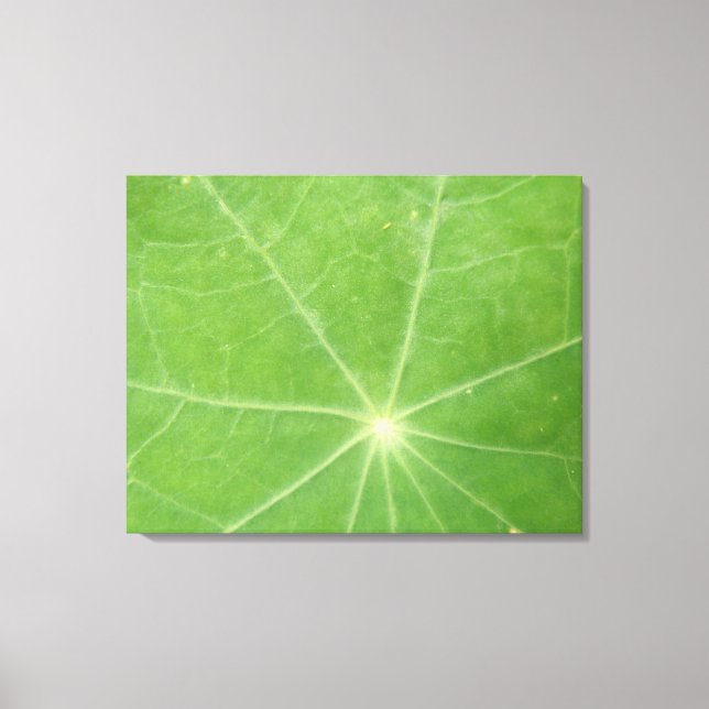 Nasturtium Leaf Canvas Print Leinwanddruck (Vorderseite)