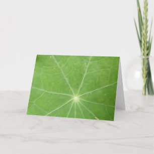 Nasturtium-Leaf-Grußkarte Karte