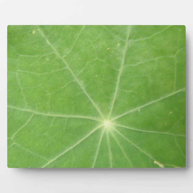 Nasturtium Leaf Plaque Fotoplatte (Vorderseite)