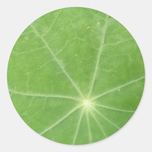Nasturtium Leaf Stickers (Vorderseite)