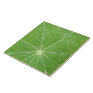 Nasturtium Leaf Tile Fliese