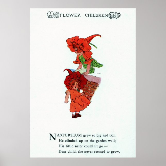Nasturtium Poster (Vorne)