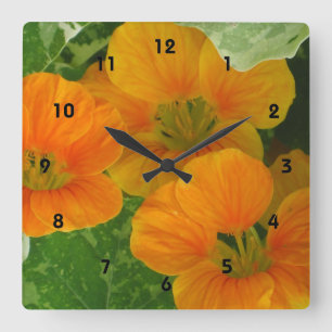 Nasturtium Wall Clock Quadratische Wanduhr