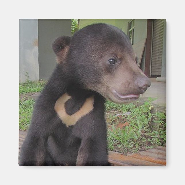 NATALIE Magnet (Vorne)