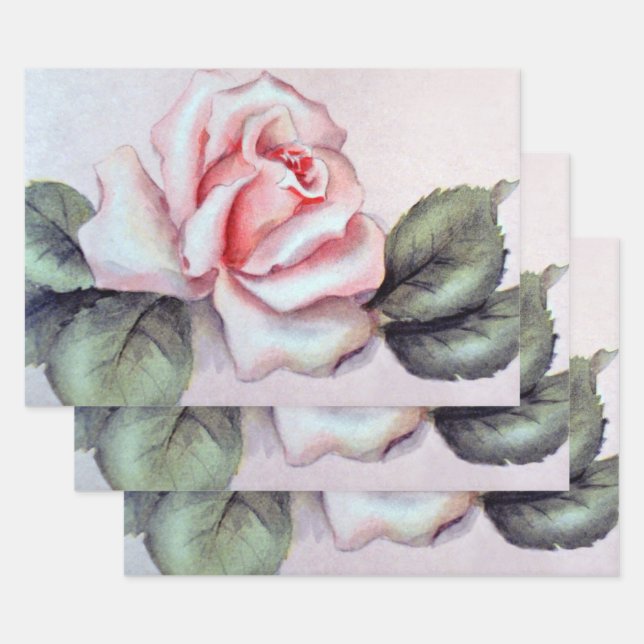 Natalie Rose Geschenkpapier Set (Set)