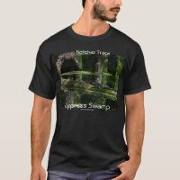 Natchez Spurn-Zypresse-Sumpf
