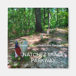 Natchez Trace Park-Magnet Magnet