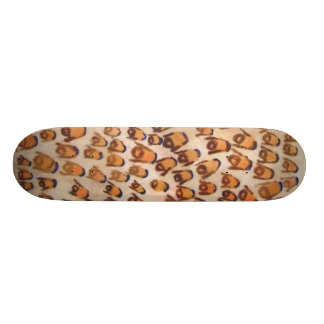 Nation Skateboard