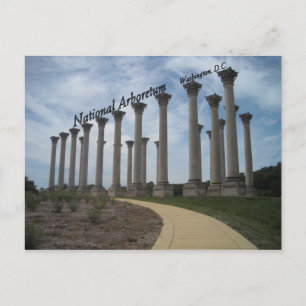 National Arboretum Washington DC Postkarte