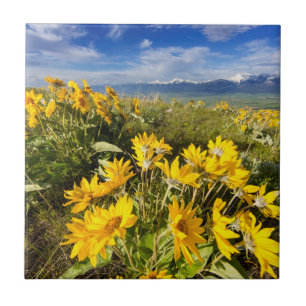 National Bison Range Fliese