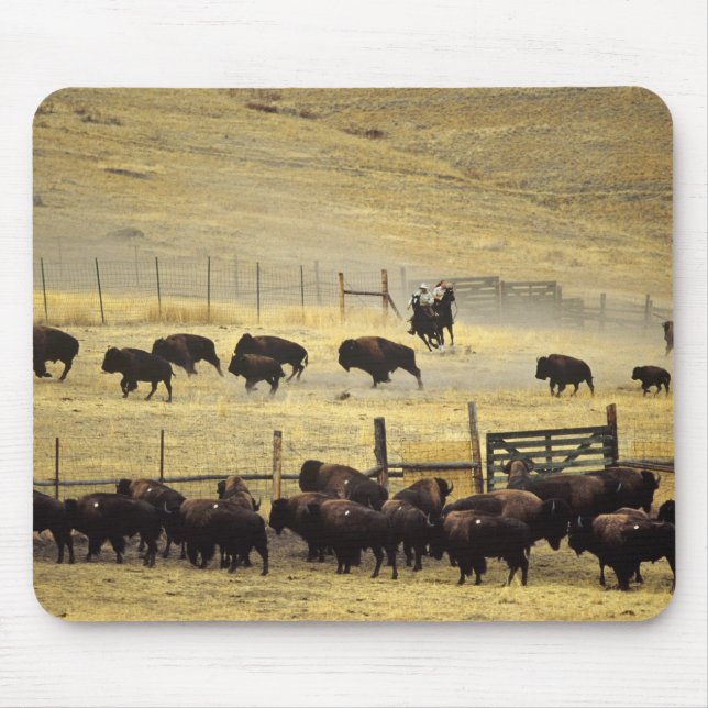 National Bison Range Roundup in Montana Mousepad (Vorne)