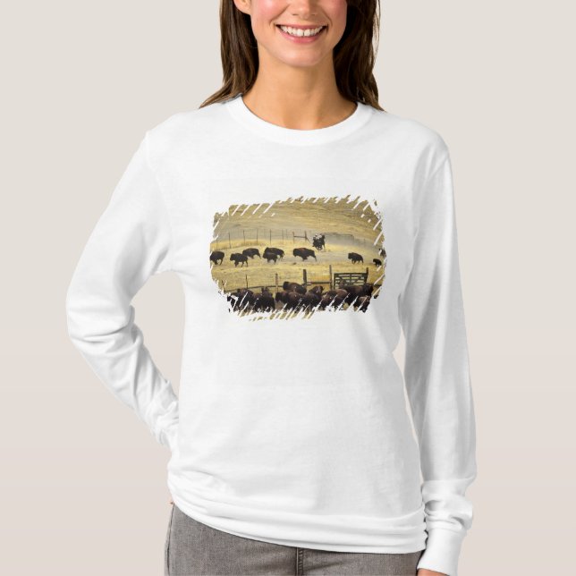 National Bison Range Roundup in Montana T-Shirt (Vorderseite)