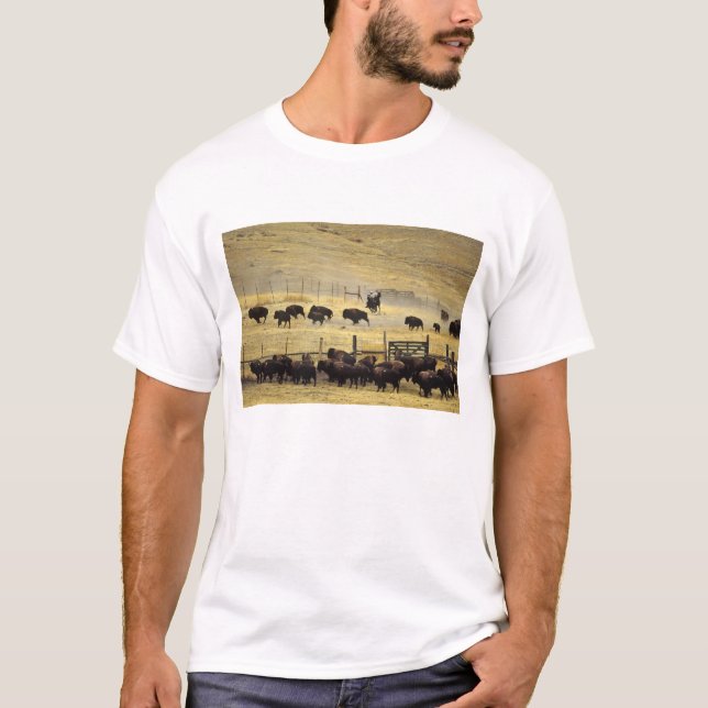 National Bison Range Roundup in Montana T-Shirt (Vorderseite)