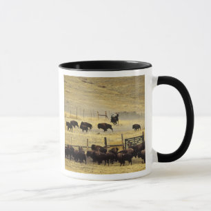 National Bison Range Roundup in Montana Tasse