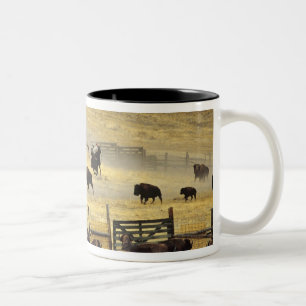 National Bison Range Roundup in Montana Zweifarbige Tasse
