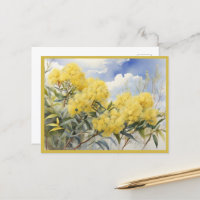 National Blume Australia Golden Wattle |