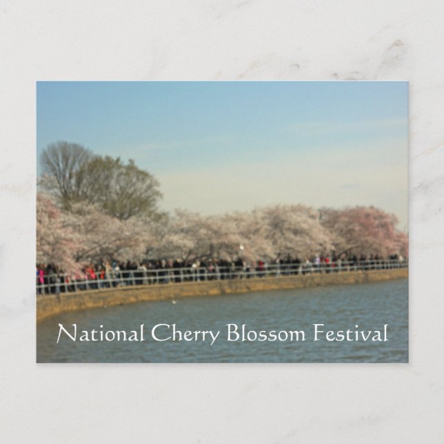 National Cherry Blossom Festival Washington DC 200 Postkarte (Vorderseite)