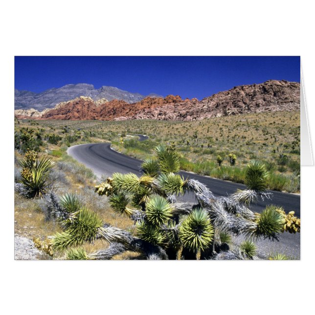 National Conservation Area, Las Rock Canyon (Vorderseite (Horizontal))