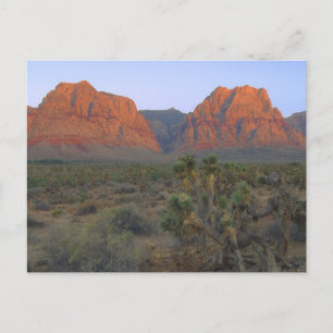 National Conservation Area Red Rock Canyon Postkarte