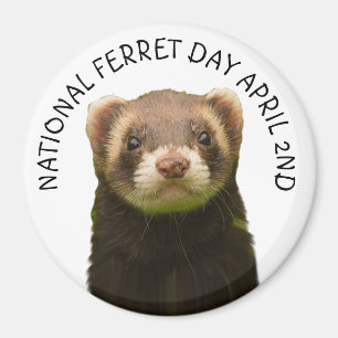 National Ferret Day 2. April Holiday Magnet