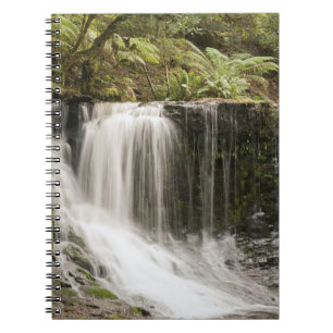 National Park des MtField   Horseshoe Falls Notizblock