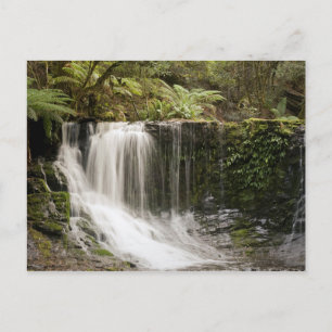 National Park des MtField   Horseshoe Falls Postkarte