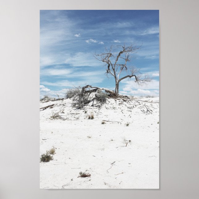 National Park Foto White Sands Zion Poster (Vorne)